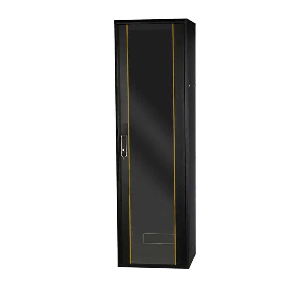 42U IT cabinet with lockable side and rear doors for enhanced security.